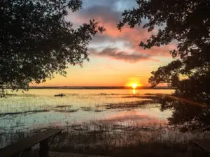 A sunset over the water with trees in front of it.