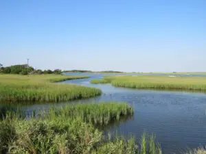 A river running through the middle of an open field.