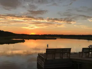 A dock with a bench and a bird sitting on it.