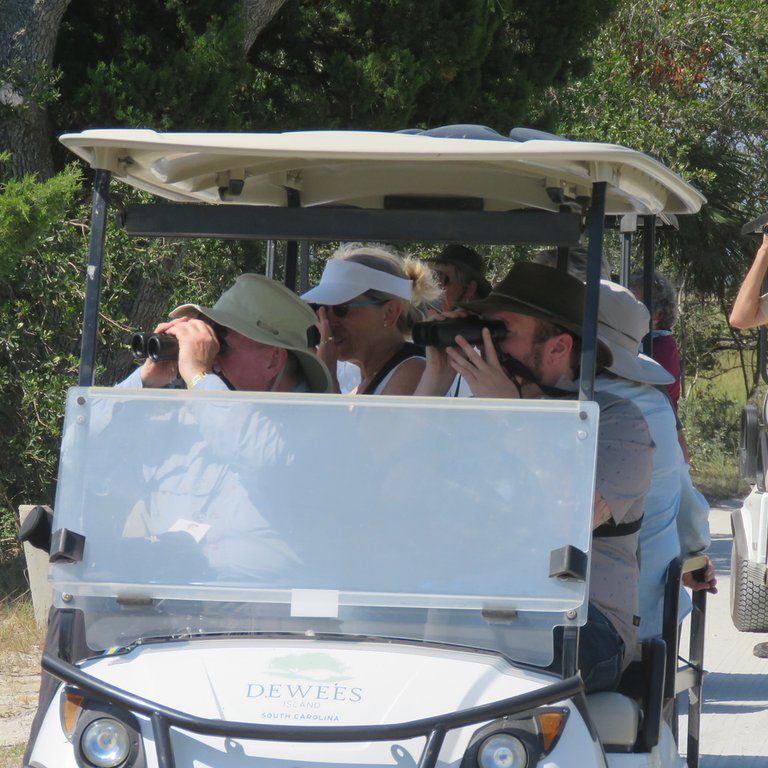 Group birdwatchers on golf cart using binoculars